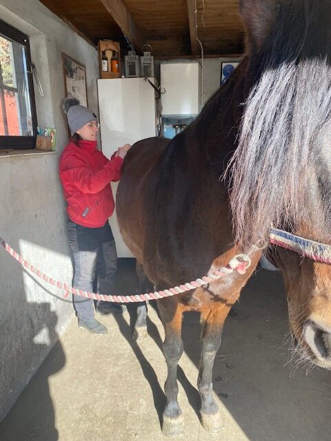 jane behandlar rotated