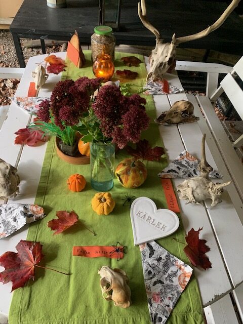 Halloween fest for djuren rotated