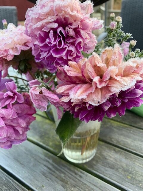 frost i buketten rotated